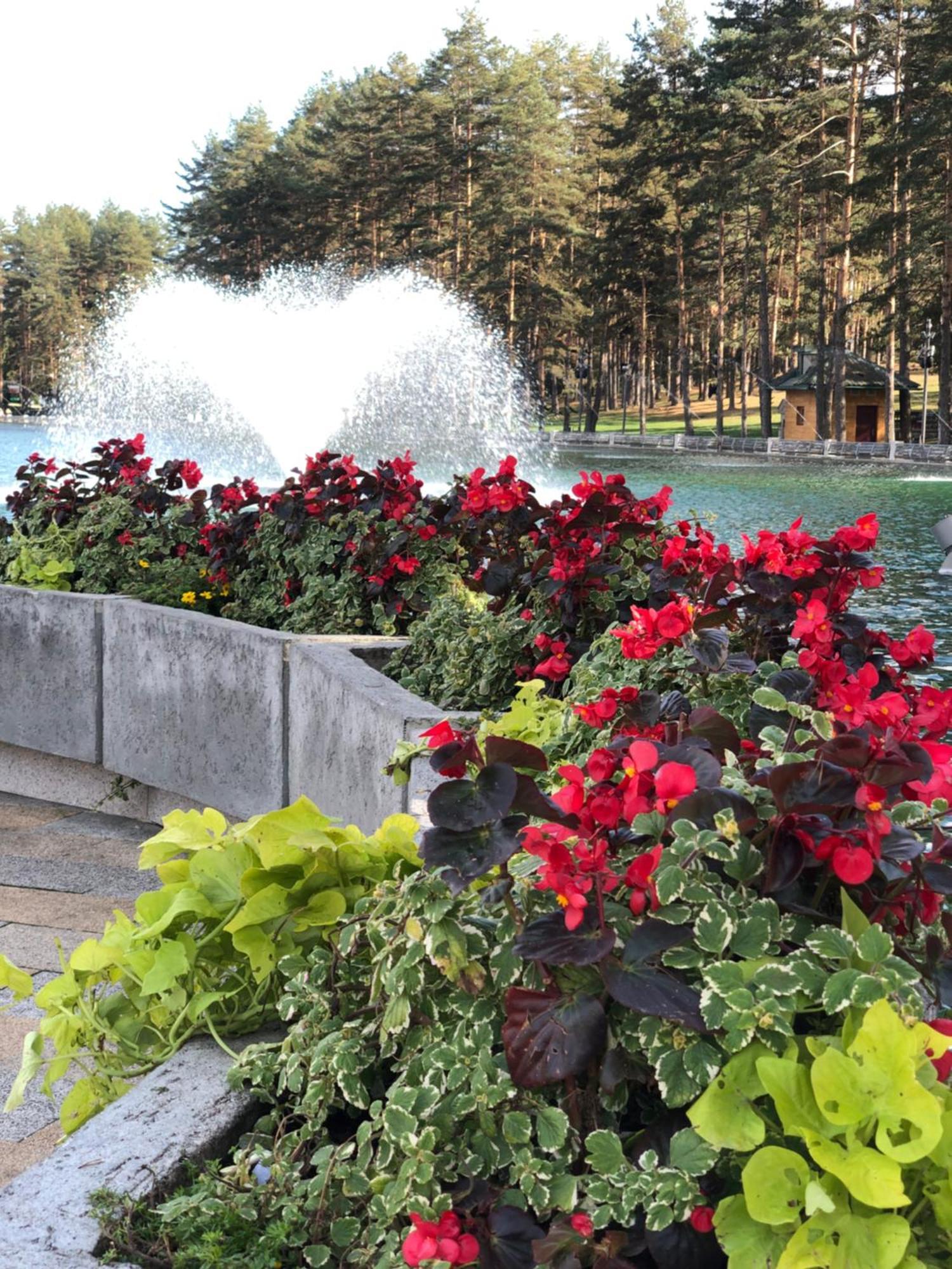 Appartamento Danijela & Konak Zlatibor Esterno foto